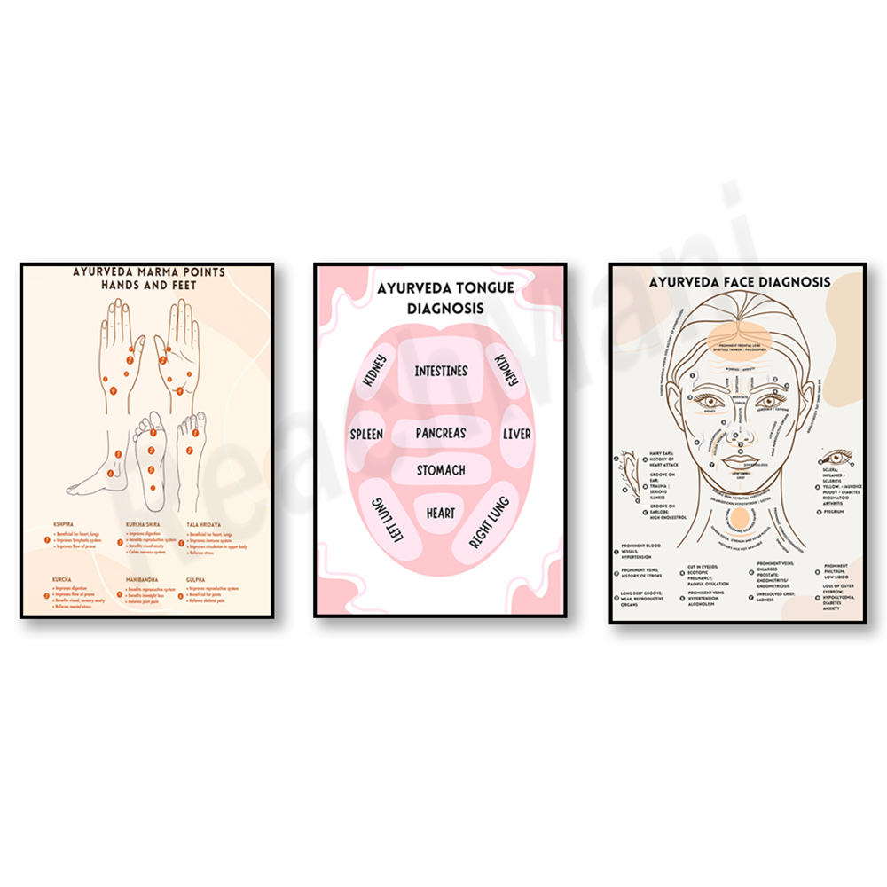 Ayurvedic energy chart, Ayurve - Ayurvedic & Herbal Wellness Kits 评论和价格