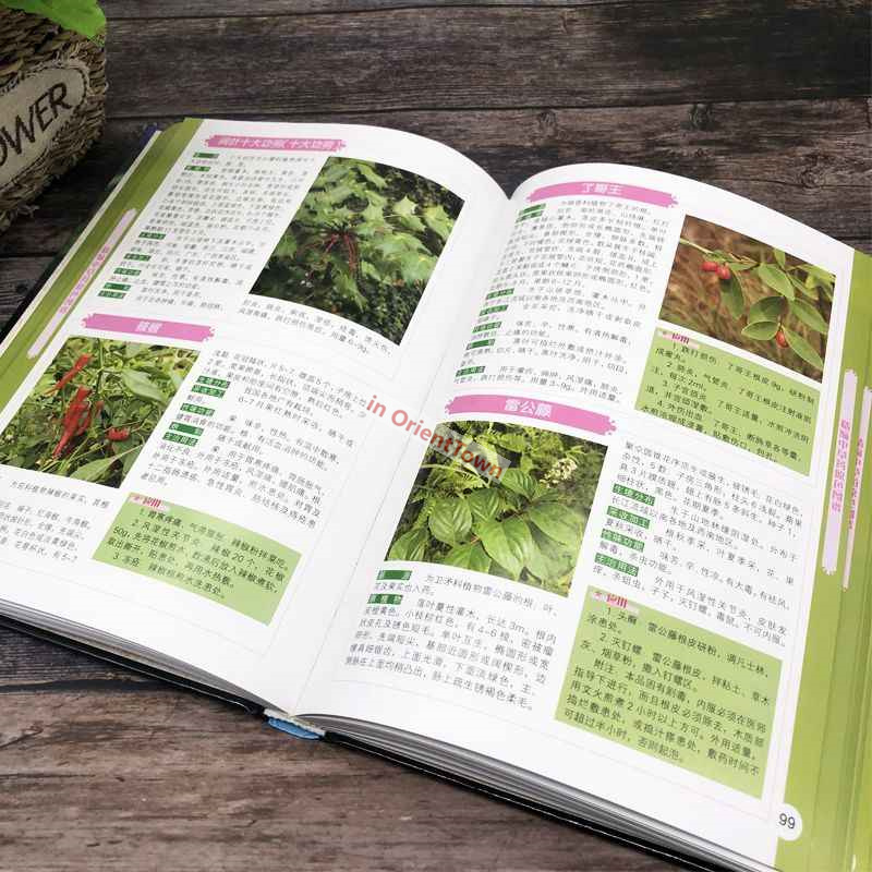 400 Common Herbal Plants Flavo - Herbal Wellness Book 评论和价格