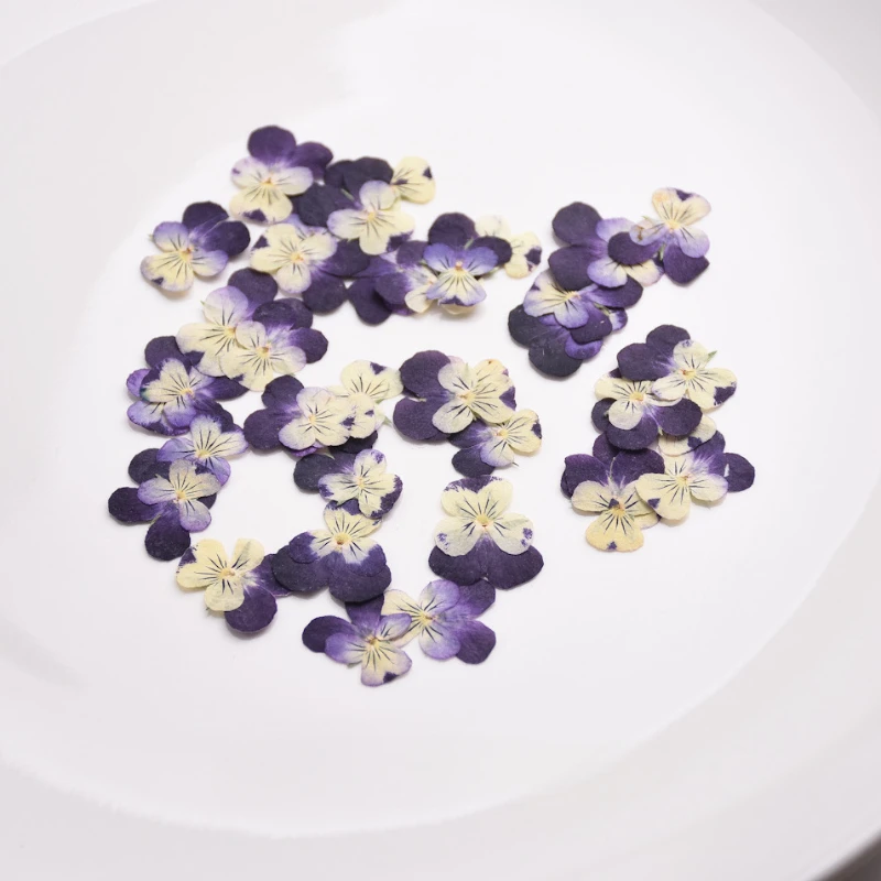2-3cm/24pcs,nature Pressed Two - Herbal Wellness Drops 评论和价格