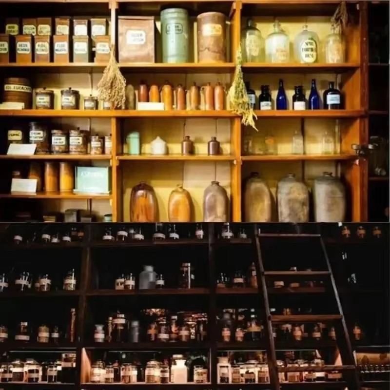 The Holistic Home Apothecary 1 - Herbal Wellness Book 评论和价格