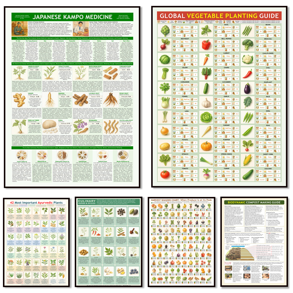 Ayurvedic healing plants, harv - Ayurvedic & Herbal Wellness Kits 评论和价格