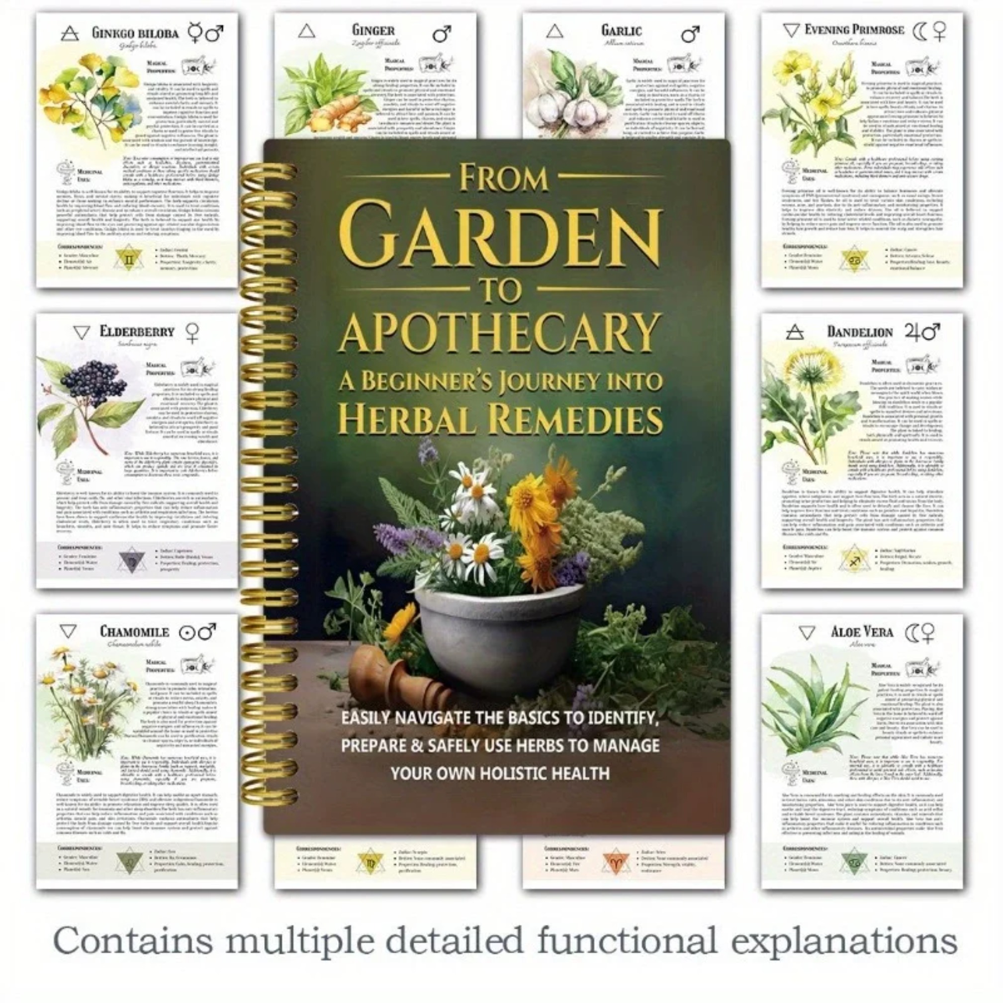 From Garden To Apothecary A Be - Herbal Wellness Book 评论和价格